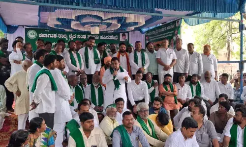 ಕಬ್ಬು ಬೆಳೆಗಾರರ ಸಮಸ್ಯೆ ಇತ್ಯರ್ಥಕ್ಕೆ ಸಚಿವ ಸಂಪುಟ ಸಭೆಯಲ್ಲಿ ಪ್ರಾಮಾಣಿಕ ಪ್ರಯತ್ನ: ಎಂ.ಬಿ.ಪಾಟೀಲ್ ಭರವಸೆ