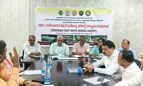 ಕಲಬುರಗಿ | ನ.5 ರಿಂದ ಎಂಟು ವಾರ ತೊಗರಿ ಆರೋಗ್ಯ ಸಮೀಕ್ಷೆ ಕಾರ್ಯ : ಸಮದ್ ಪಟೇಲ್