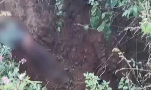 ಮೈಸೂರು | ಸರಗೂರು ತಾಲ್ಲೂಕಿನಲ್ಲಿ ಹುಲಿ ದಾಳಿಗೆ ಮತ್ತೋರ್ವ ಬಲಿ