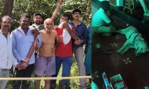 ಚಿಕ್ಕಮಗಳೂರು : ನಾಪತ್ತೆಯಾಗಿದ್ದ ವೃದ್ಧ ವೈದ್ಯನನ್ನು ಕಾಡಿನಲ್ಲಿ ಪತ್ತೆ ಹಚ್ಚಿದ ಪೊಲೀಸ್‌ ಶ್ವಾನ