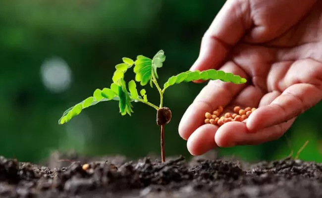 ರಾಷ್ಟ್ರೀಯ ಕೃಷಿ ವಿಕಾಸ ಯೋಜನೆಯಡಿ ರಸಗೊಬ್ಬರ ವಿತರಣೆಯಲ್ಲಿ ಭ್ರಷ್ಟಾಚಾರ ಆರೋಪ