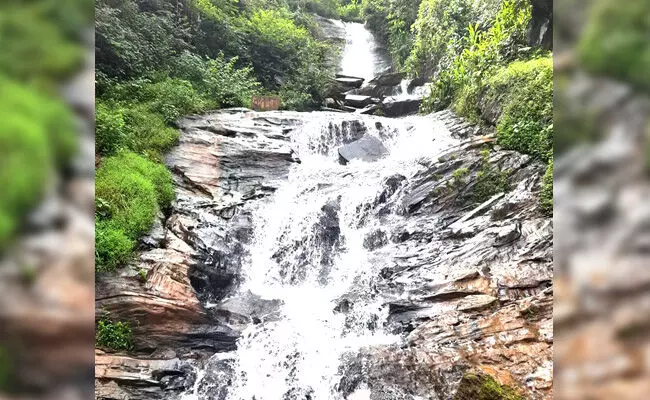 ನೋಡುಗರನ್ನು ಮಂತ್ರಮುಗ್ಧಗೊಳಿಸುವ ತೀರ್ಥಕೆರೆ ಫಾಲ್ಸ್‌ನ ಚಿತ್ತಾರ