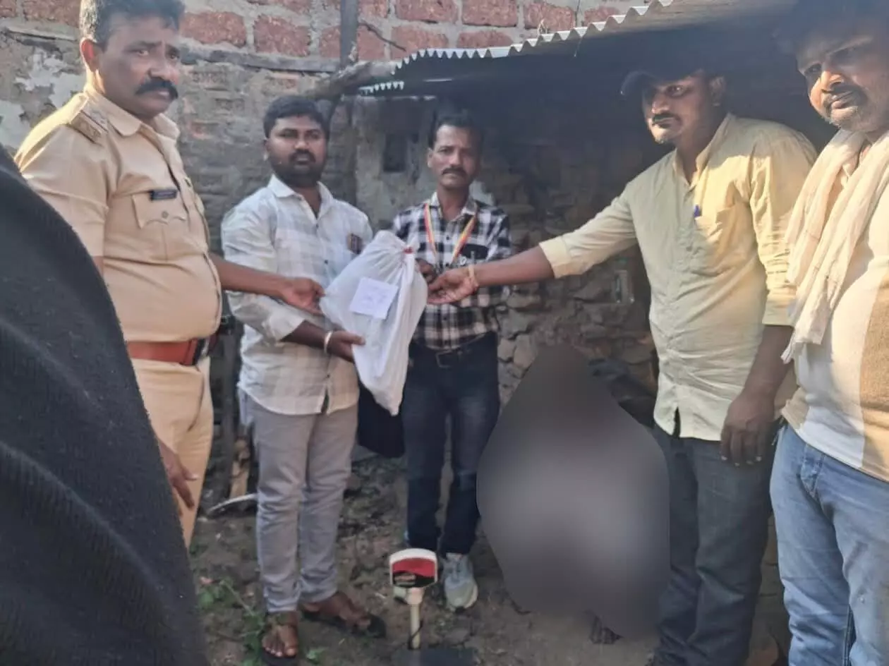 ಬೀದರ್ | 89,000ಕ್ಕೂ ಅಧಿಕ ಮೌಲ್ಯದ ಗಾಂಜಾ ಗಿಡ ವಶ : ಆರೋಪಿಯ ಬಂಧನ