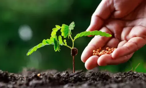 ರಾಷ್ಟ್ರೀಯ ಕೃಷಿ ವಿಕಾಸ ಯೋಜನೆಯಡಿ ರಸಗೊಬ್ಬರ ವಿತರಣೆಯಲ್ಲಿ ಭ್ರಷ್ಟಾಚಾರ ಆರೋಪ