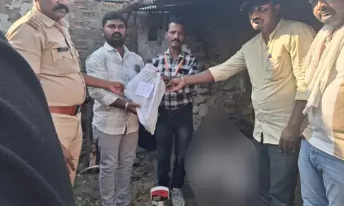 ಬೀದರ್ | 89,000ಕ್ಕೂ ಅಧಿಕ ಮೌಲ್ಯದ ಗಾಂಜಾ ಗಿಡ ವಶ : ಆರೋಪಿಯ ಬಂಧನ