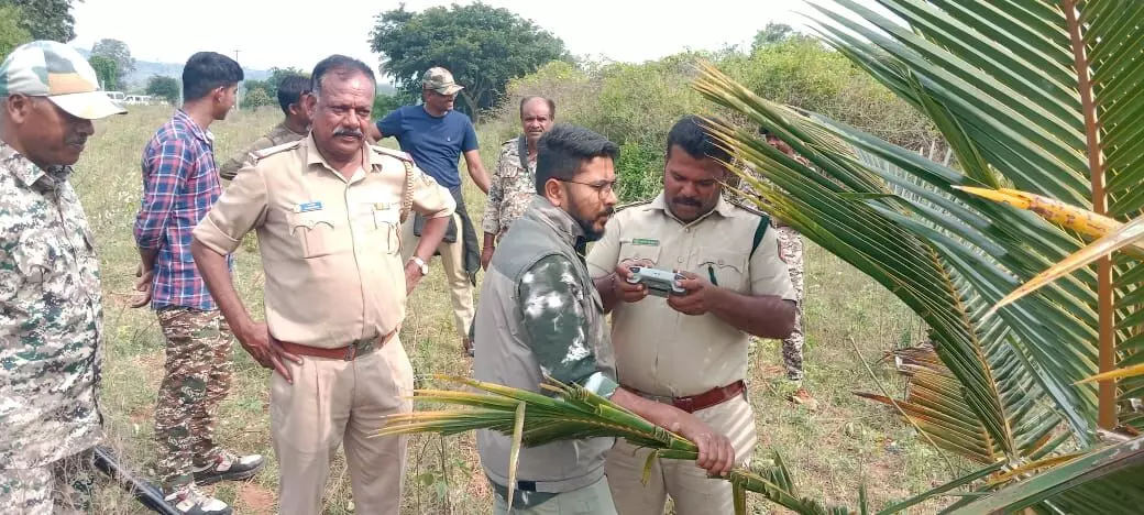 ಚಾಮರಾಜನಗರ: ಹುಲಿ ದಾಳಿಗೆ ಎರಡು ಹಸುಗಳು ಬಲಿ ಚಾಮರಾಜನಗರ: ಹುಲಿ ದಾಳಿಗೆ ಎರಡು ಹಸುಗಳು ಬಲಿ