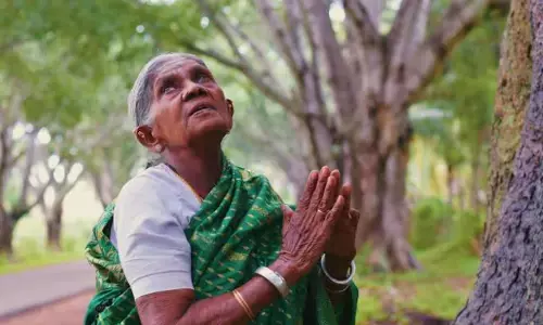 ಮಕ್ಕಳಿಲ್ಲದ ಕೊರಗನ್ನು ಮರೆತು ಮರವೇ ಮಕ್ಕಳೆಂದ ತಾಯಿ ಸಾಲುಮರದ ತಿಮ್ಮಕ್ಕ