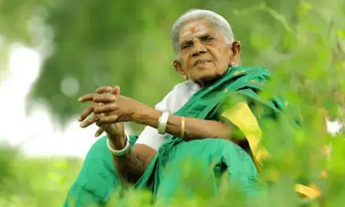 Salumara Thimmakka