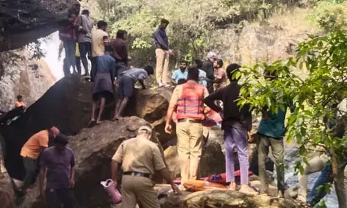 ಚಿಕ್ಕಮಗಳೂರು | ಸೆಲ್ಫಿ ತೆಗೆಯಲು ಹೋಗಿ ಜಲಪಾತಕ್ಕೆ ಬಿದ್ದು ಯುವಕ ಮೃತ್ಯು