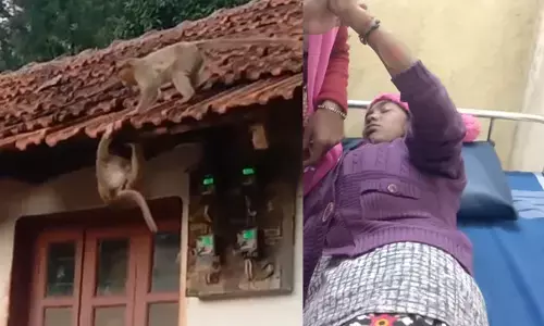 ಚಿಕ್ಕಮಗಳೂರು | ಮಂಗ ದಾಳಿ : ಮಹಿಳೆಗೆ ಗಾಯ