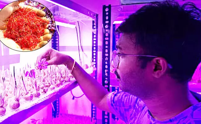 ಬಯಲುಸೀಮೆಯಲ್ಲಿ ಅರಳಿದ ಕಾಶ್ಮೀರ ಕೇಸರಿ ಬಯಲುಸೀಮೆಯಲ್ಲಿ ಅರಳಿದ ಕಾಶ್ಮೀರ ಕೇಸರಿ