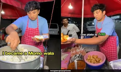 ಮೊಮೊ ಮಾರಾಟದಿಂದ ದಿನಕ್ಕೆ ಲಕ್ಷ ರೂಪಾಯಿ ಗಳಿಕೆ : ಇನ್‍ಸ್ಟಾಗ್ರಾಂನಲ್ಲಿ ವಿಡಿಯೊ ವೈರಲ್