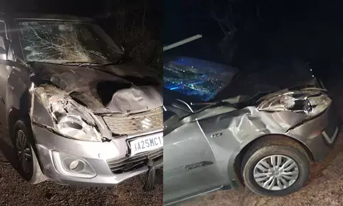 ಚಿಕ್ಕಮಗಳೂರು | ರಸ್ತೆ ದಾಟುತ್ತಿದ್ದ ಕಾಡಾನೆಗೆ ಕಾರು ಢಿಕ್ಕಿ