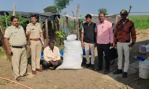 ವಿಜಯಪುರ: ಕಬ್ಬು ಬೆಳೆಗಳ ಮಧ್ಯೆ ಗಾಂಜಾ ಬೆಳೆದಿದ್ದ ಆರೋಪಿಯ ಬಂಧನ