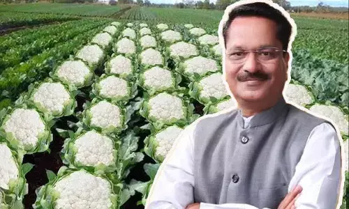 ಬಿಹಾರ ಹೂಕೋಸು ಕೃಷಿಗೆ ಅನುಮೋದನೆ ನೀಡಿದೆ: ಅಸ್ಸಾಂ ಸಚಿವನ ವಿವಾದಾತ್ಮಕ ಹೇಳಿಕೆಗೆ ಶಶಿ ತರೂರ್ ಪ್ರತಿಕ್ರಿಯಿಸಿದ್ದು ಹೀಗೆ…