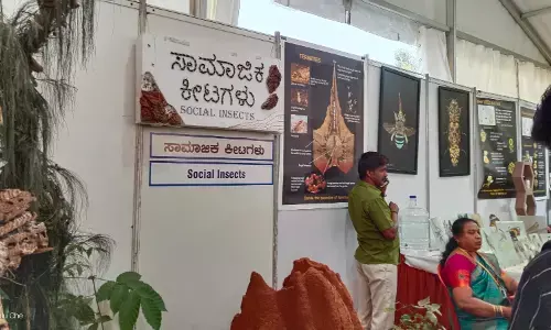 Bengaluru| ಕೃಷಿ ಮೇಳದಲ್ಲಿ 54.16 ಲಕ್ಷ ಜನರು ಭಾಗಿ, 4.77ಕೋಟಿ ರೂ. ವಹಿವಾಟು