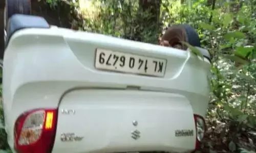 ಸುಳ್ಯ | ಚಲಿಸುತ್ತಿದ್ದ ಕಾರಿಗೆ ಅಡ್ಡ ಬಂದ ಕಾಡು ಹಂದಿ : ಕಾರು ಪಲ್ಟಿ, ಚಾಲಕನಿಗೆ ಗಾಯ