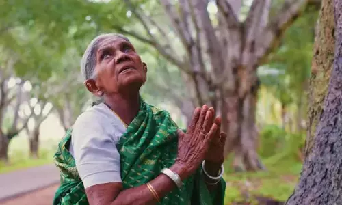 ತಿಮ್ಮಕ್ಕನ ನೆರಳಲ್ಲಿ ಭವಿಷ್ಯದ ಮಕ್ಕಳು!