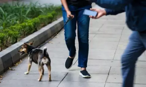 Bengaluru | ನಾಯಿಯನ್ನು ಮುದ್ದಿಸುವ ನೆಪದಲ್ಲಿ ಯುವತಿಗೆ ಲೈಂಗಿಕ ಕಿರುಕುಳ: ಪ್ರಕರಣ ದಾಖಲು