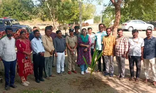 ಕಲಬುರಗಿ | ಜಿಲ್ಲಾಧಿಕಾರಿಗಳಿಂದ ಮಾಡಬೂಳ ಪ್ರಾಣಿ ಸಂಗ್ರಹಾಲಯದ ಕಾಮಗಾರಿ ವೀಕ್ಷಣೆ