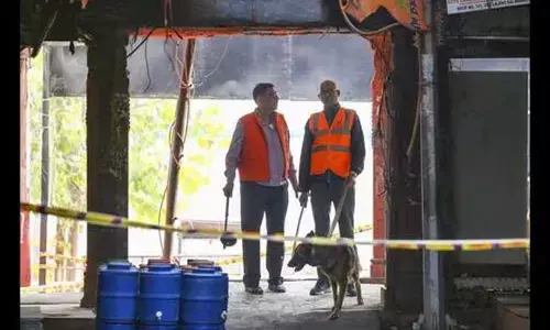 ಭಯೋತ್ಪಾದಕ ಸಂಪರ್ಕದ ಶಂಕೆ | ಅನಂತ್‌ನಾಗ್‌ ನಲ್ಲಿ ರೋಹ್ಟಕ್ ನ ವೈದ್ಯೆ ಡಾ. ಪ್ರಿಯಾಂಕಾ ಶರ್ಮಾ ವಶಕ್ಕೆ ಪಡೆದು ವಿಚಾರಣೆ: ಆರೋಪ ನಿರಾಕರಿಸಿದ ಕುಟುಂಬ