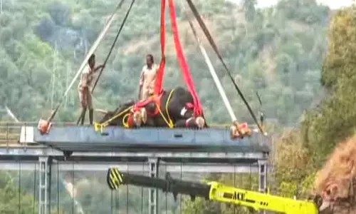 Mandya | ಸತತ ನಾಲ್ಕು ದಿನಗಳ ಕಾರ್ಯಾಚರಣೆ ಯಶಸ್ವಿ; ನಾಲೆಗೆ ಬಿದ್ದಿದ್ದ ಆನೆಯ ರಕ್ಷಣೆ