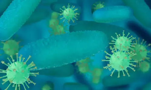 ಕೇರಳದಲ್ಲಿ ಮಿದುಳು ತಿನ್ನುವ ಅಮೀಬಾ ಪ್ರಕರಣ ಪತ್ತೆ: ಶಬರಿಮಲೆ ಯಾತ್ರಿಕರಿಗೆ ಮಾರ್ಗಸೂಚಿ ಪ್ರಕಟ