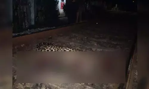 ಬೈಂದೂರು: ಚಲಿಸುತ್ತಿದ್ದ ರೈಲಿಗೆ ಸಿಲುಕಿ ಚಿರತೆ ಸಾವು