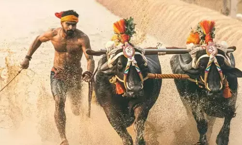 ಕರಾವಳಿ ಜಿಲ್ಲೆಗಳ ಹೊರಗೆ ಕಂಬಳ ಆಯೋಜಿಸದಂತೆ ಸರಕಾರವನ್ನು ನಿರ್ಬಂಧಿಸಲು ಹೈಕೋರ್ಟ್ ‌ನಕಾರ