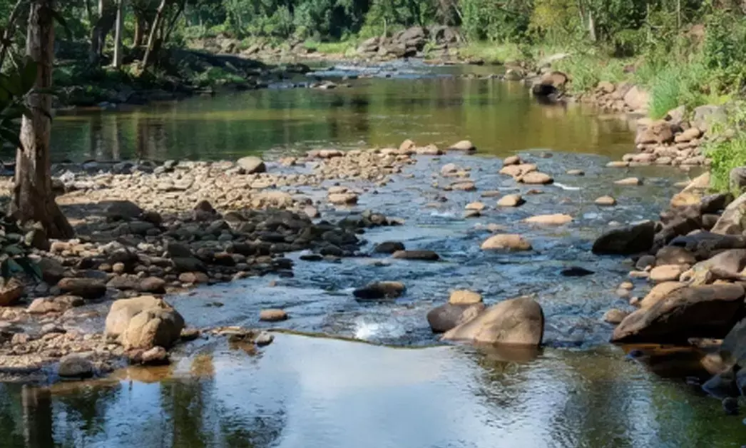 ನಂದಿನಿ ನದಿ ಅತಿಕ್ರಮಣದ ವಿರುದ್ಧ ಅಧಿಕಾರಿಗಳ ನಿರ್ಲಕ್ಷ್ಯ : ಉಪ ಲೋಕಾಯುಕ್ತ ಎಚ್ಚರಿಕೆ