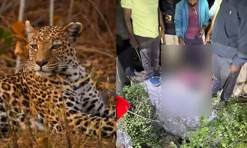 Chikkamagaluru | ಚಿರತೆ ದಾಳಿಗೆ 5 ವರ್ಷದ ಮಗು ಬಲಿ