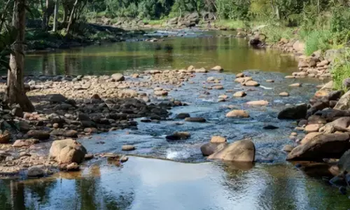 ನಂದಿನಿ ನದಿ ಅತಿಕ್ರಮಣದ ವಿರುದ್ಧ ಅಧಿಕಾರಿಗಳ ನಿರ್ಲಕ್ಷ್ಯ : ಉಪ ಲೋಕಾಯುಕ್ತ ಎಚ್ಚರಿಕೆ