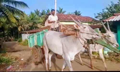 ಅರಕಲಗೂಡು | ಹಸು ಮಾರಿ ಡಿಡಿ ಪಾವತಿಸಿದ ಆರ್‌ಟಿಐ ಕಾರ್ಯಕರ್ತ : ದಾಖಲೆಗಳನ್ನು ಎತ್ತಿನಗಾಡಿಯಲ್ಲಿ ಸಾಗಾಟ