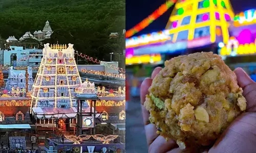 2019-2024ರ ಅವಧಿಯಲ್ಲಿ ಕಲಬೆರಕೆ ತುಪ್ಪದಿಂದ 20 ಕೋಟಿ ಲಾಡುಗಳು ತಯಾರಾಗಿದ್ದವು: ತಿರುಪತಿಯ ಅಧಿಕಾರಿ