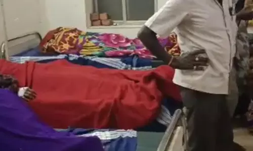 ಬೀದರ್ | ಯರಂಡಗಿ ಗ್ರಾಮದಲ್ಲಿ 7 ಮಂದಿಗೆ ಹುಚ್ಚು ನಾಯಿ ಕಡಿತ : ಗಾಯಾಳುಗಳು ಆಸ್ಪತ್ರೆಗೆ ದಾಖಲು