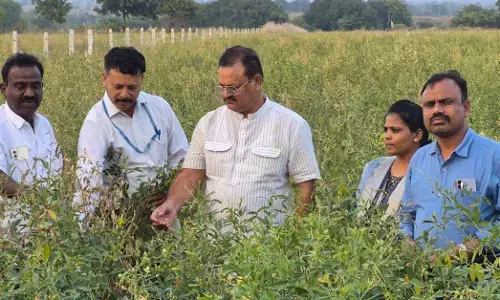 ಕಲಬುರಗಿ| ಹೆಸರು ಕಾಳು ಖರೀದಿ ಕೇಂದ್ರಗಳಿಗೆ ಭೇಟಿ ನೀಡಿದ ಸೈಯದ್ ಮೆಹಮೂದ