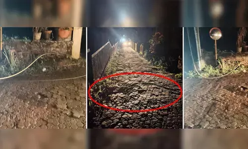 ಮಂಗಳೂರು | ರಸ್ತೆಗೆ ತುಂಡಾಗಿ ಬಿದ್ದ ವಿದ್ಯುತ್ ತಂತಿ: ಸ್ಪಂದಿಸದ ಮೆಸ್ಕಾಂ; ಆರೋಪ