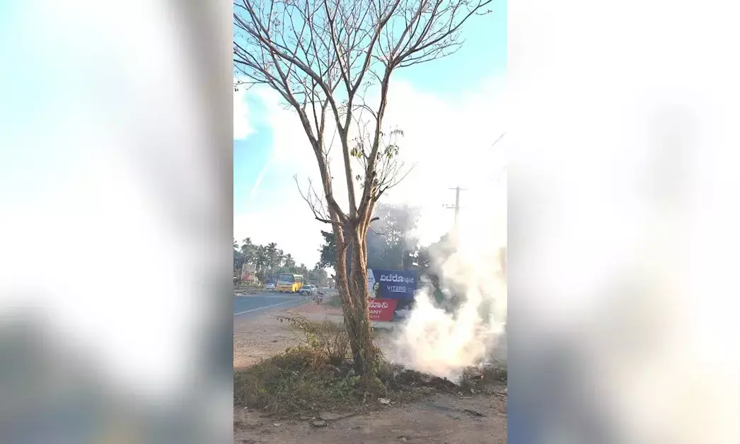 ಕೋಟ | ಮರದ ಬುಡಕ್ಕೆ ಬೆಂಕಿ: ಆಕ್ರೋಶ