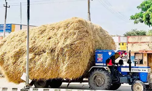 ಎರಡನೇ ಬೆಳೆಗೆ ನೀರಿಲ್ಲ: ಮುಂದಿನ ಮುಂಗಾರುವರೆಗೂ ಭತ್ತದ ಮೇವಿಲ್ಲ