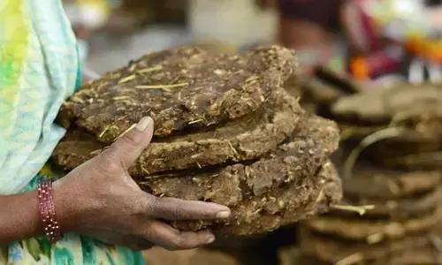 DELHI | ಅಂತ್ಯಕ್ರಿಯೆಗೆ ಹಸುವಿನ ಬೆರಣಿ ಬಳಸುವ MCD ನಿರ್ಧಾರವು ಮಾಲಿನ್ಯ ಹೆಚ್ಚಿಸಬಹುದು: ತಜ್ಞರು