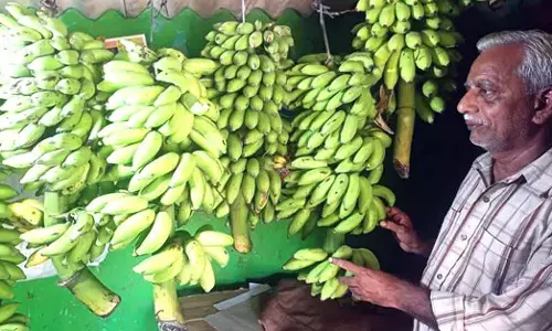 ಇಳಿವಯಸ್ಸಿನಲ್ಲೂ ಸಾವಯವ ಕೃಷಿ ನೆಚ್ಚಿಕೊಂಡ ದೇವಣ್ಣ