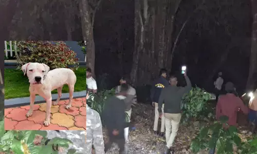 Kodagu | ನಾಪತ್ತೆಯಾಗಿದ್ದ ಮಗು ಪತ್ತೆ; ರಾತ್ರಿ ಪೂರ್ತಿ ಕಾಫಿ ತೋಟದಲ್ಲೇ ಇದ್ದ ಮಗುವಿನ ಸುಳಿವು ನೀಡಿದ ಶ್ವಾನ!