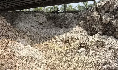 ರಾಯಚೂರು| ಕಾಟನ್ ಜಿನ್ನಿಂಗ್ ಫ್ಯಾಕ್ಟರಿಯಲ್ಲಿ ಅಗ್ನಿ ಅವಘಡ