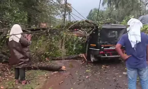 ಉಡುಪಿ ಜಿಲ್ಲೆಯ ಹಲವೆಡೆ ಭಾರೀ ಗಾಳಿಮಳೆ : ಕಾರ್ಕಳದಲ್ಲಿ ರಿಕ್ಷಾ ಮೇಲೆ ಮರ ಬಿದ್ದು ನಾಲ್ವರಿಗೆ ಗಾಯ