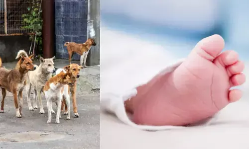 ಪಶ್ಚಿಮಬಂಗಾಳ: ನವಜಾತ ಶಿಶುವನ್ನು ರಾತ್ರಿಯಿಡೀ ಕಾವಲು ಕಾದ ಬೀದಿ ನಾಯಿಗಳು!