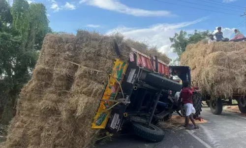 ಕನಕಗಿರಿ: ಟ್ರ್ಯಾಕ್ಟರ್ ಪಲ್ಟಿ ಚಾಲಕ ಪಾರು