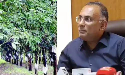 ರಬ್ಬರ್ ಬೆಳೆಗೆ ಬೆಂಬಲ ಬೆಲೆ ನೀಡುವಂತೆ ಕೇಂದ್ರ ಸಚಿವರಿಗೆ ದಿನೇಶ್ ಗುಂಡೂರಾವ್ ಪತ್ರ