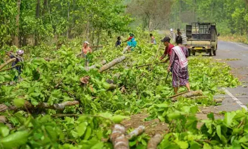 5 ವರ್ಷಗಳಲ್ಲಿ 99,000 ಹೆಕ್ಟೇರ್ ಅರಣ್ಯ ಭೂಮಿ ಬೇರೆ ಉದ್ದೇಶಗಳಿಗೆ ಬಳಸಲಾಗಿದೆ: ರಾಜ್ಯಸಭೆಗೆ ಕೇಂದ್ರ ಸಚಿವ ಕೀರ್ತಿವರ್ಧನ್ ಸಿಂಗ್ ಮಾಹಿತಿ