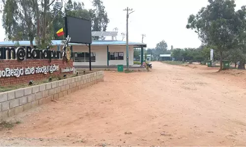 ಬಂಡೀಪುರ ಅಭಯಾರಣ್ಯದೊಳಗೆ ಸಫಾರಿ ಬಂದ್