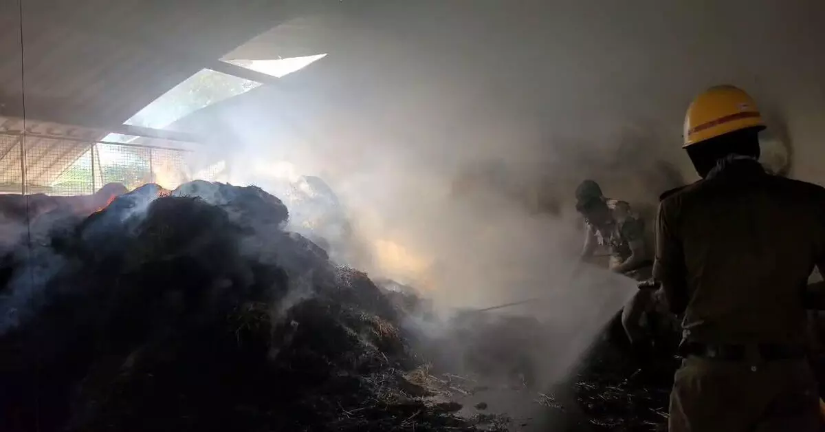 ಕುತ್ಯಾರು ಗೋಶಾಲೆಯ ಮೇವು ಸಂಗ್ರಹಣಾ ಕೊಠಡಿಗೆ ಬೆಂಕಿ ಕುತ್ಯಾರು ಗೋಶಾಲೆಯ ಮೇವು ಸಂಗ್ರಹಣಾ ಕೊಠಡಿಗೆ ಬೆಂಕಿ